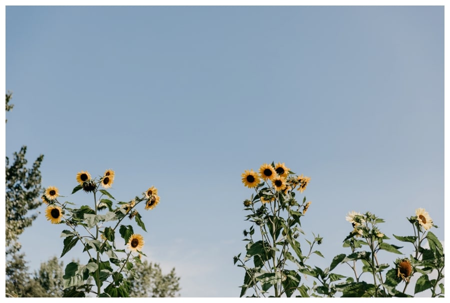 Bordeaux Wedding Photographer