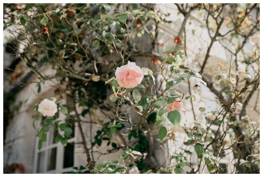 Bordeaux Wedding Photographer