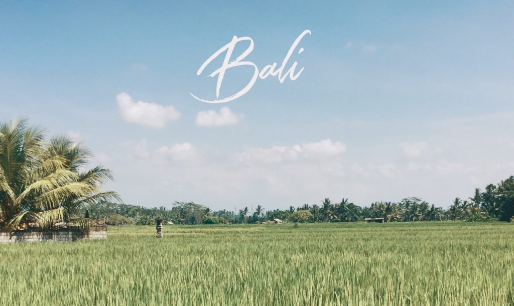 bali wedding photographer
