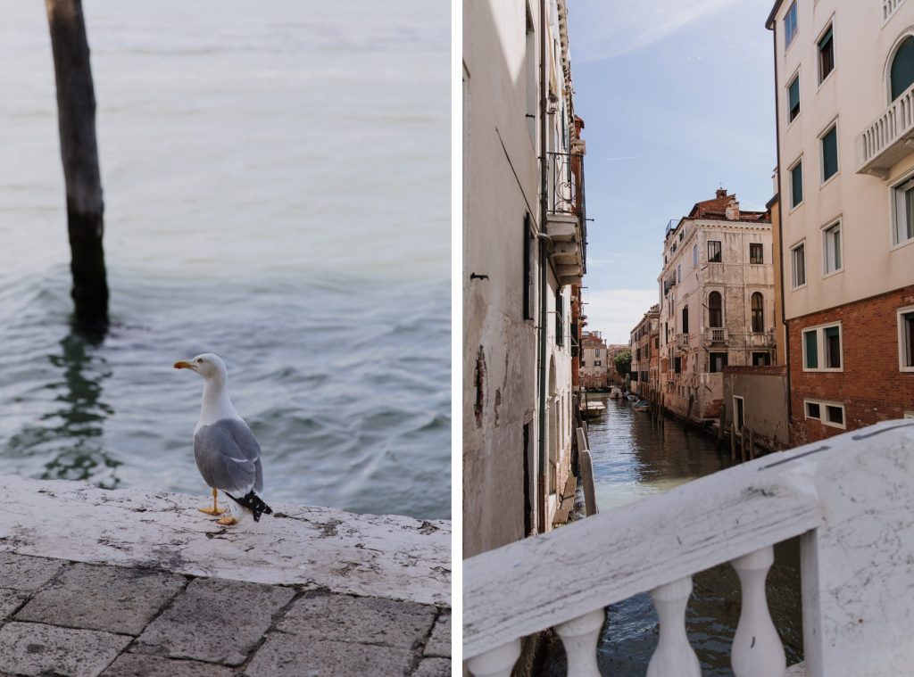 venice wedding photographer
