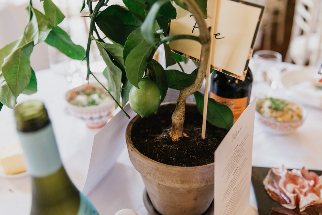 Avington Park wedding