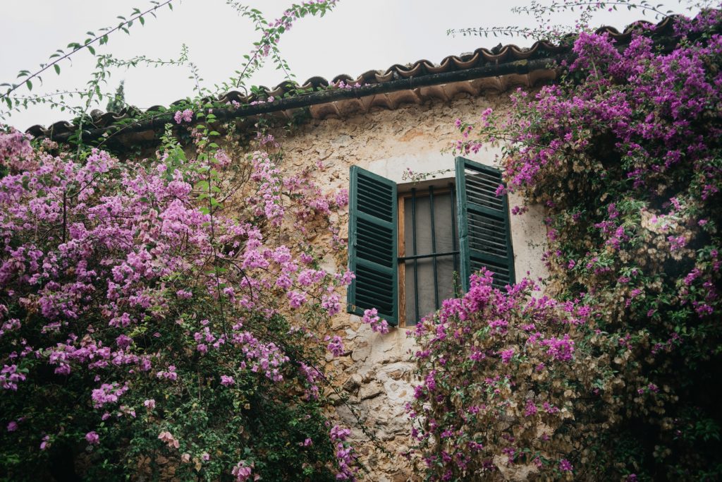mallorca wedding photographer