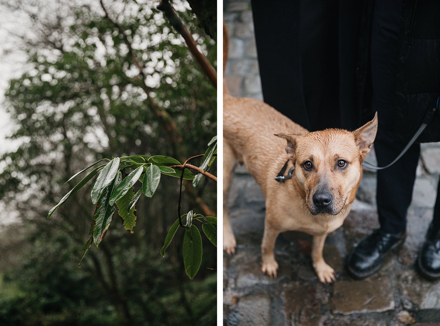 Stourhead couple shoot