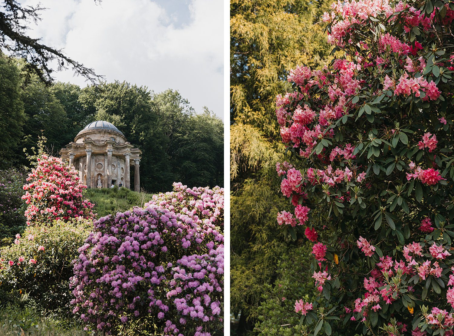 Stourhead Proposal Photographer