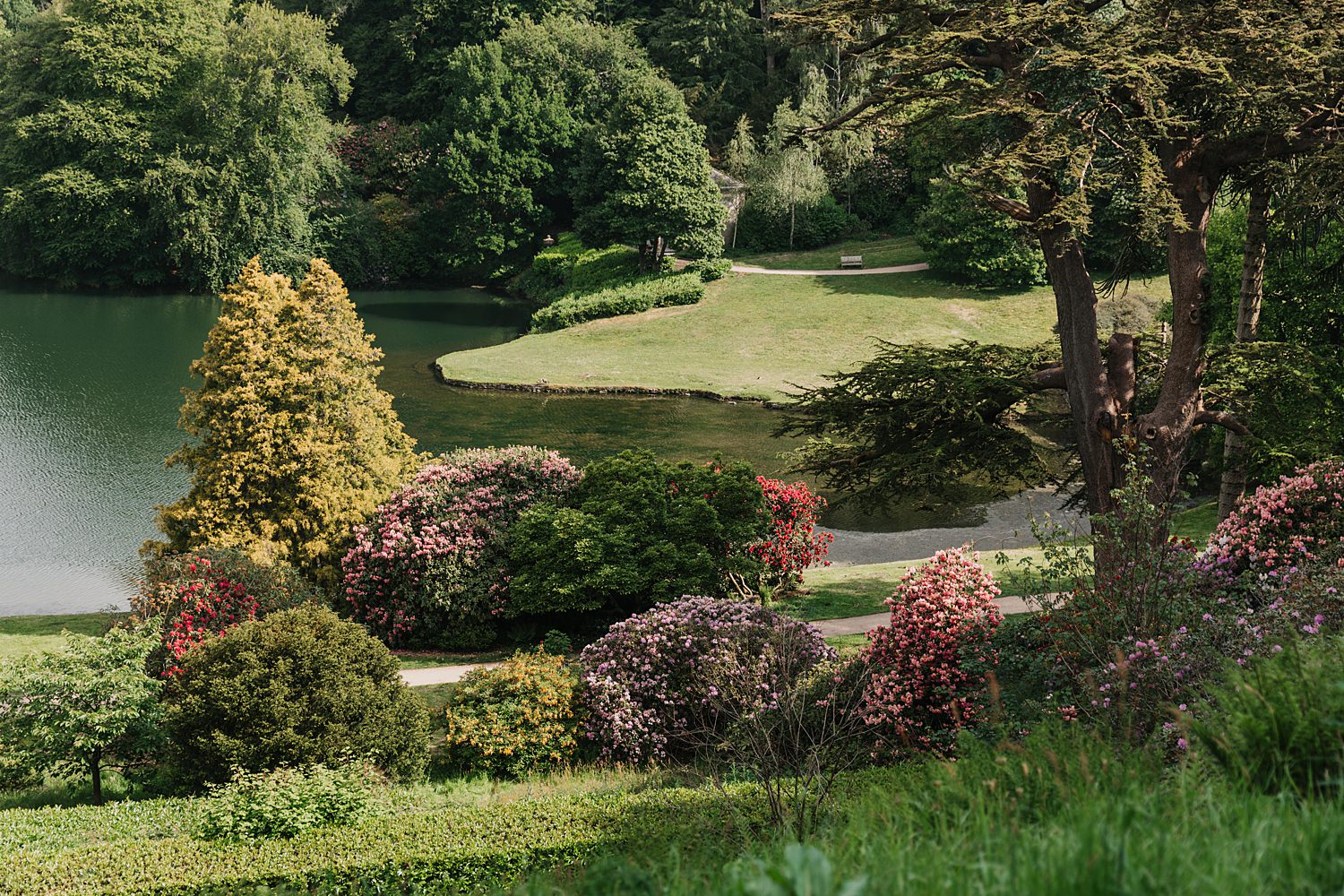 Stourhead Proposal Photographer