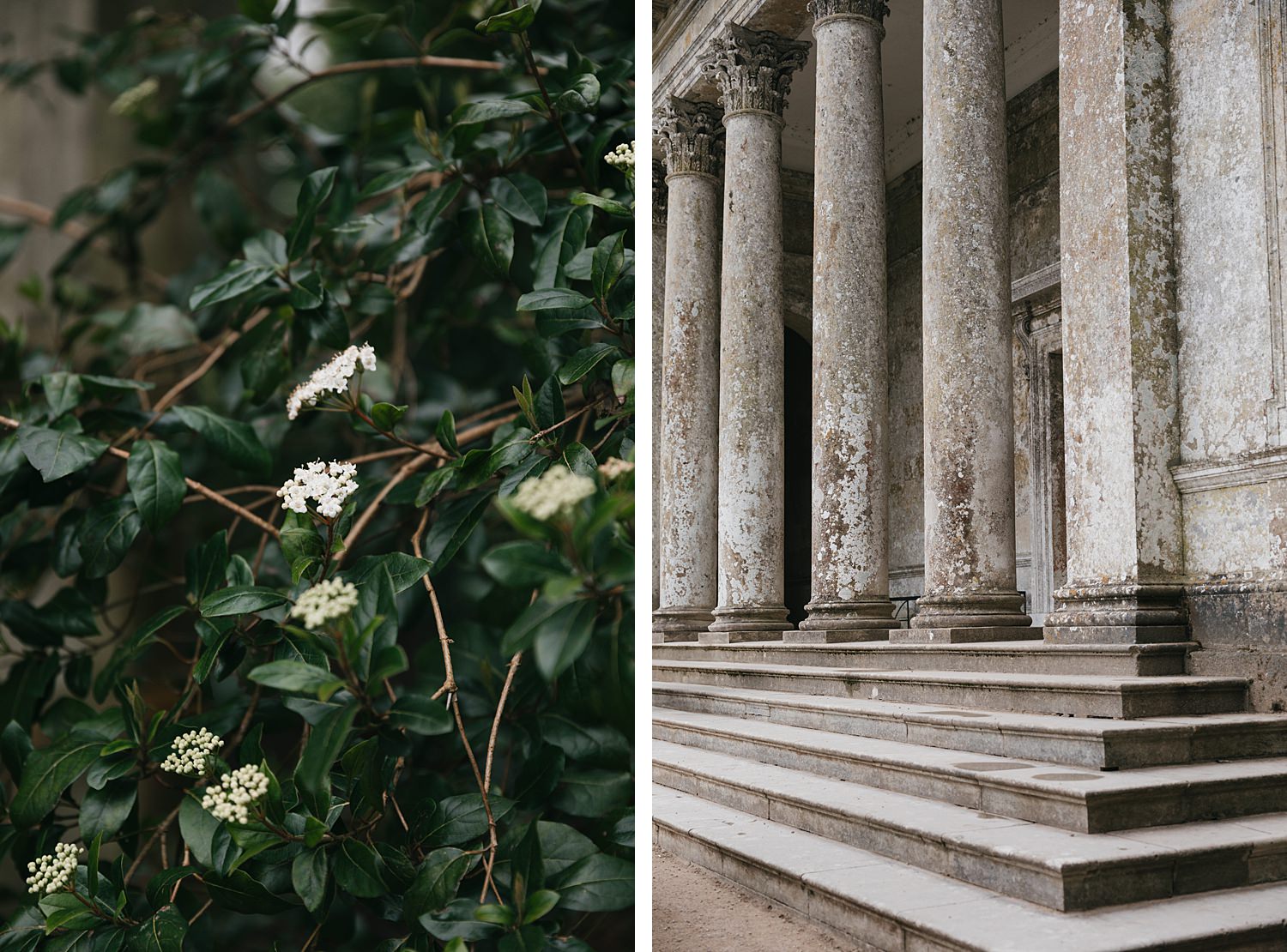 Surprise proposal photography at Stourhead