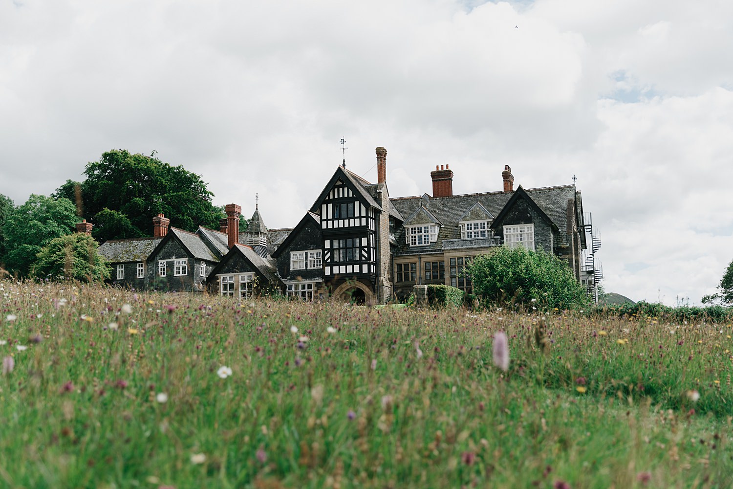 plas dinam wedding